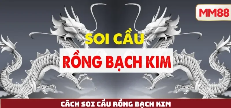 Cách Soi Cầu Rồng Bạch Kim
